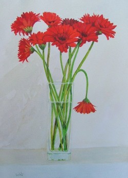Still Life
