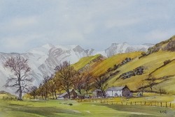 Landscapes